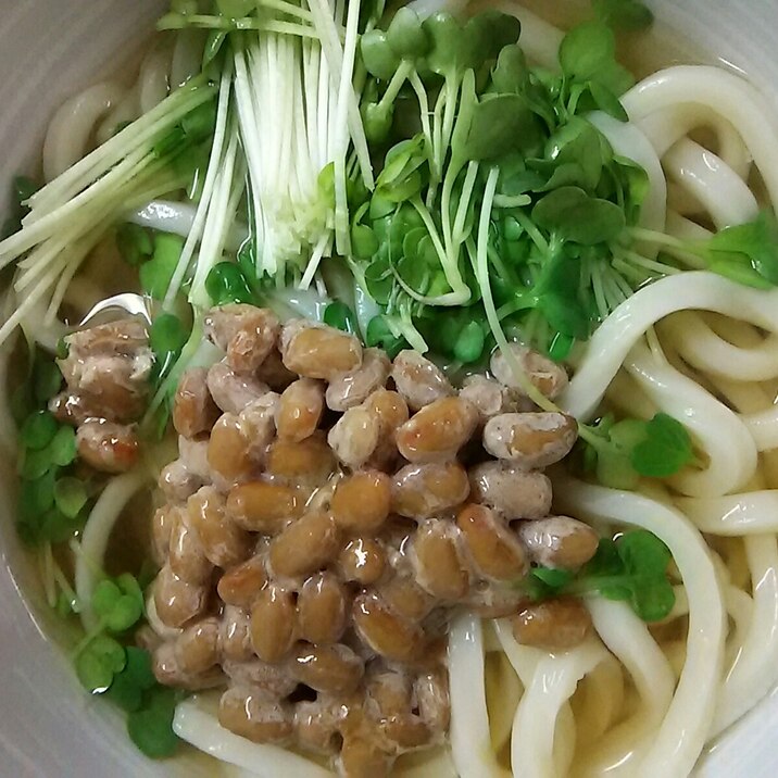 納豆うどん